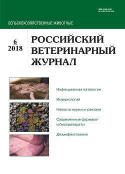             Африканская чума свиней
    